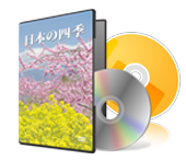 Blu-ray制作